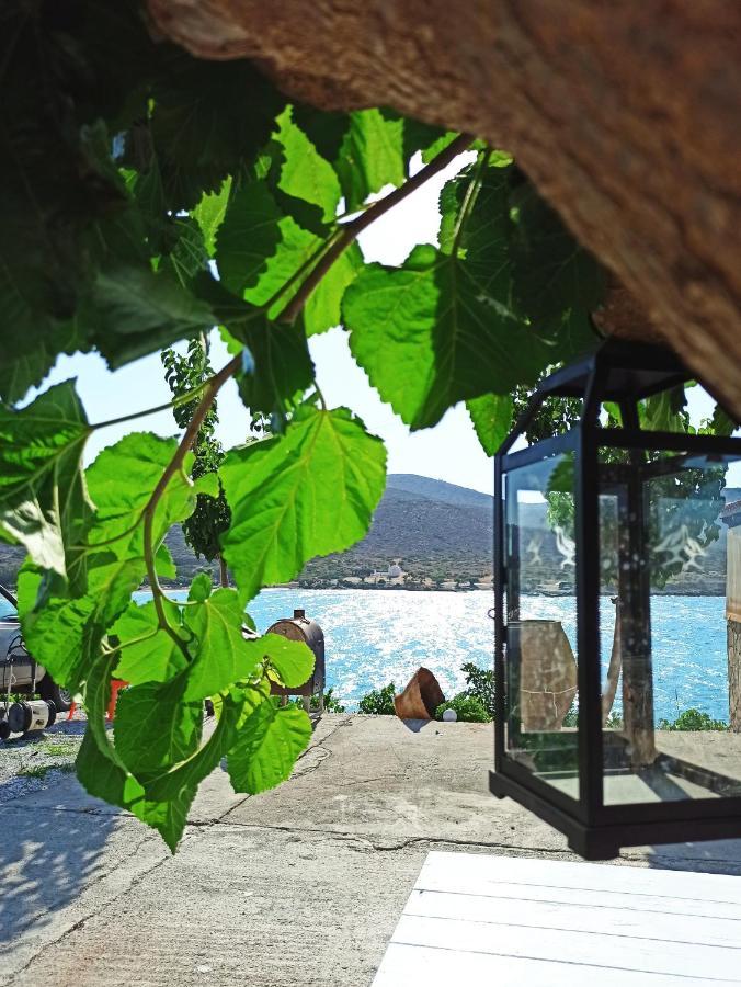 Tholos Alexandra'S Beachfront House Kavúszi Kültér fotó